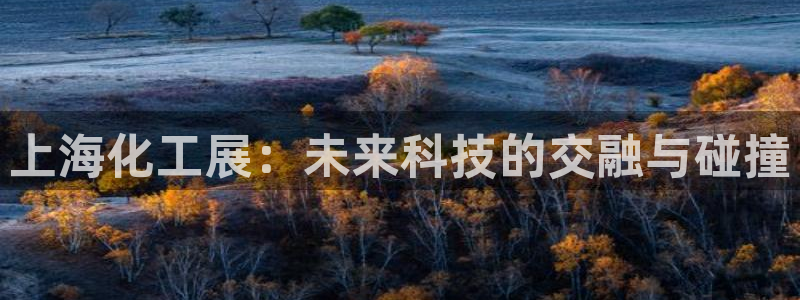 亿万28下载地址：上海化工展：未来科技的交融与碰撞
