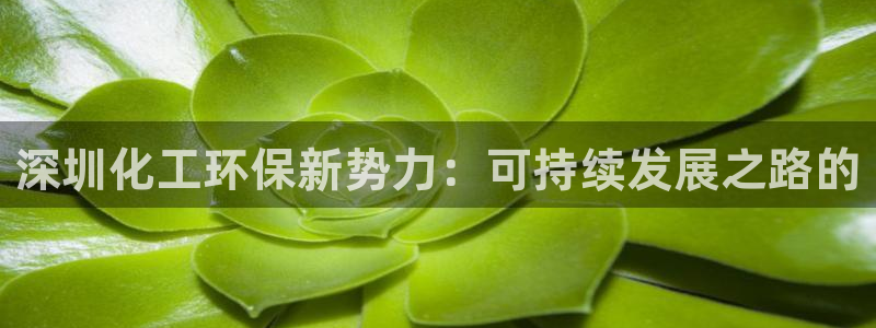亿万先生MR - 亿万先生mr008cc：深圳化工环保新势力：可持续发展之路的