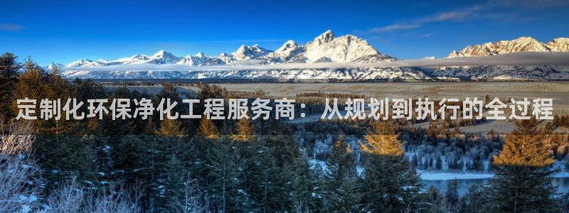 亿万视频：定制化环保净化工程服务商：从规划到执行的全过程