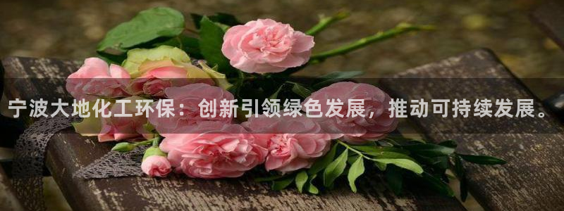 亿万先生网页版下载：宁波大地化工环保：创新引领绿色发展，推动可持续发展。