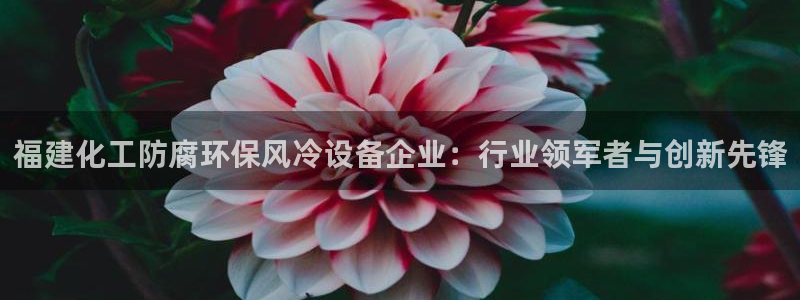 亿万先生官方网站首页：福建化工防腐环保风冷设备企业：行业领军者与创新先锋