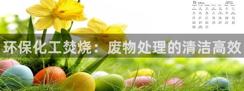 亿万先生官方网站客户端下载安装：环保化工焚烧：废物处理的清洁高效