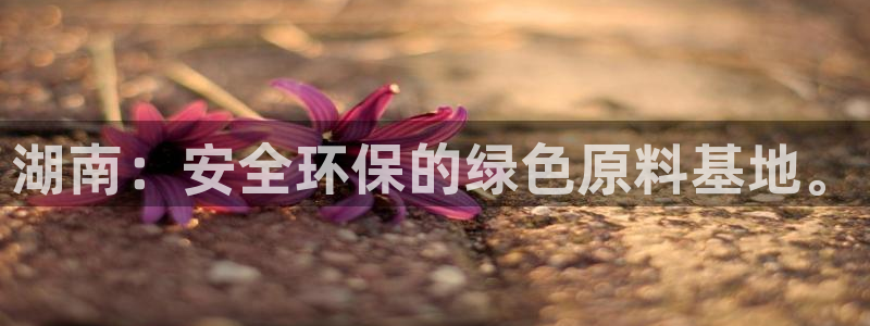 亿万手游平台官网下载：湖南：安全环保的绿色原料基地。