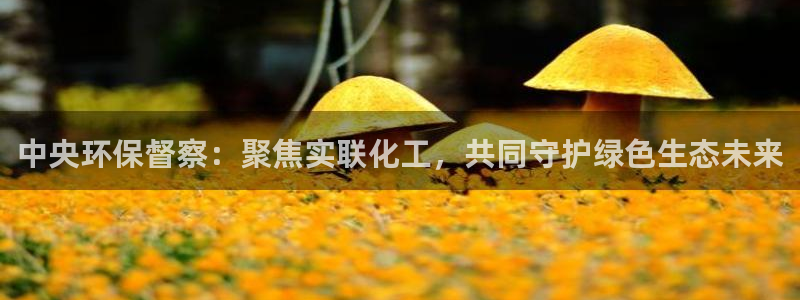 亿万先生007官网：中央环保督察：聚焦实联化工，共同守护绿色生态未来