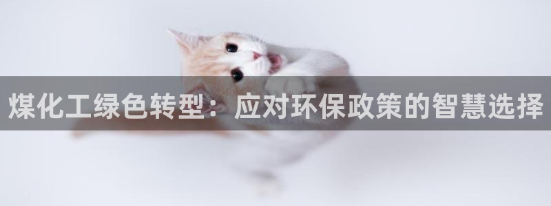 亿万先生网页版登录：煤化工绿色转型：应对环保政策的智慧选择