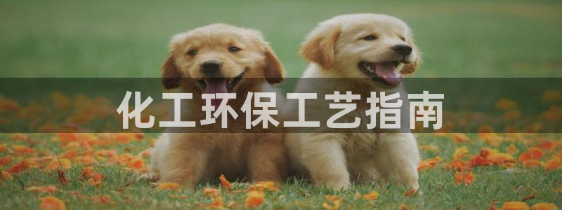 亿万手游平台官网下载：化工环保工艺指南