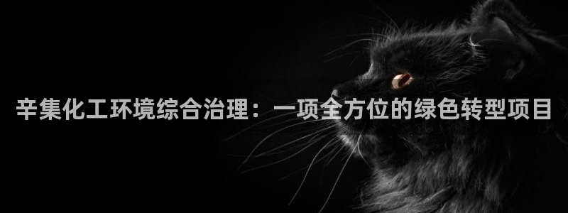 亿万先生007客服：辛集化工环境综合治理：一项全方位的绿色转型项目