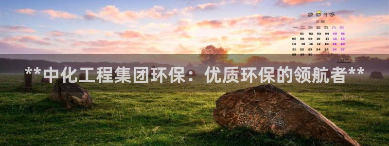 亿万 下载：**中化工程集团环保：优质环保的领航者**