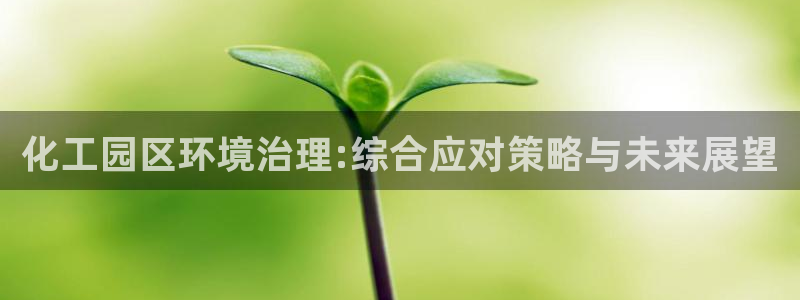 亿万先生下载网址app：化工园区环境治理:综合应对策略与未来展望