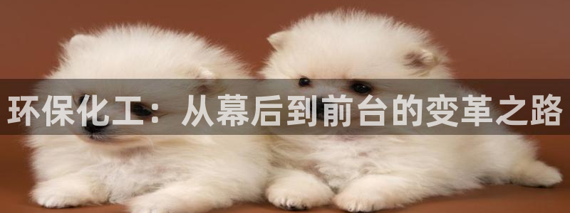 亿万先生客户端官网登录：环保化工：从幕后到前台的变革之路