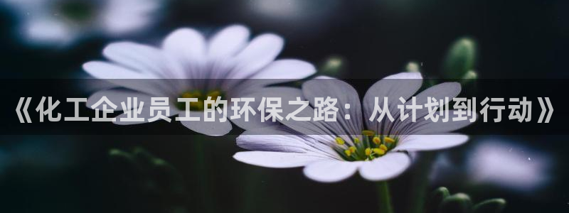 亿万先生网站下载：《化工企业员工的环保之路：从计划到行动》