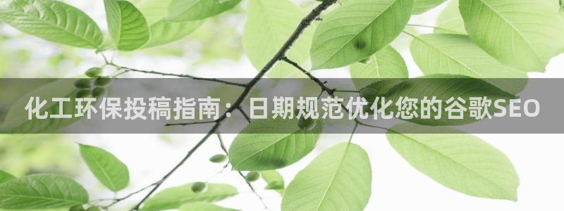 亿万同人字幕组微博的微博：化工环保投稿指南：日期规范优化您的谷歌SEO
