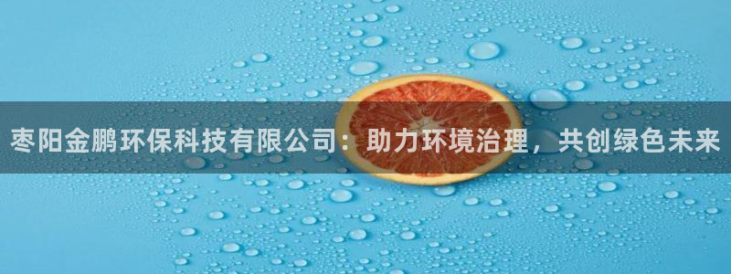 亿万网友在线实时为你解答：枣阳金鹏环保科技有限公司：助力环境治理，共创绿色未来