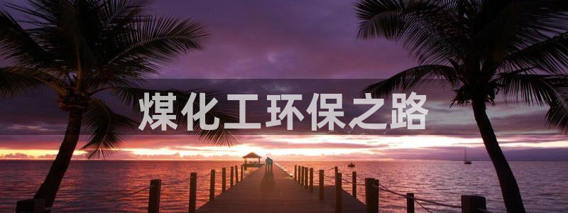 亿万先生网页版下载：煤化工环保之路