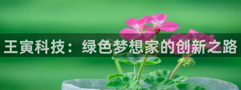 亿万下载徐家汇朋友圈说说：王寅科技：绿色梦想家的创新之路