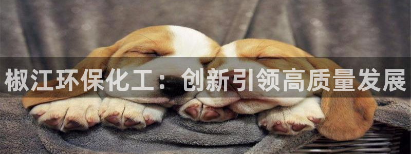 亿万先生 手机版下载最新版：椒江环保化工：创新引领高质量发展