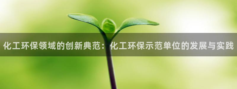 亿万乐购生活超市：化工环保领域的创新典范：化工环保示范单位的发展与实践