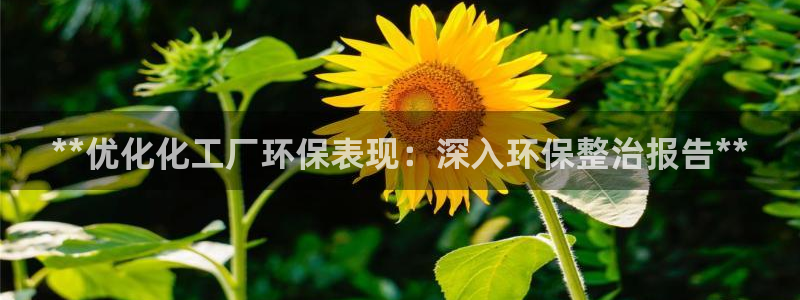 亿万先生首页：**优化化工厂环保表现：深入环保整治报告**