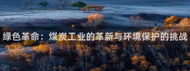 亿万第一集：绿色革命：煤炭工业的革新与环境保护的挑战