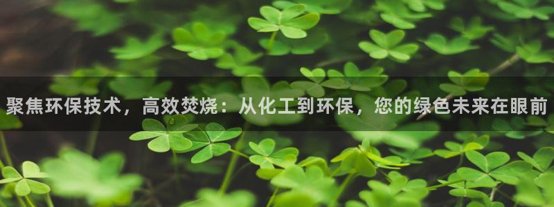 亿万贴吧：聚焦环保技术，高效焚烧：从化工到环保，您的绿色未来在眼前