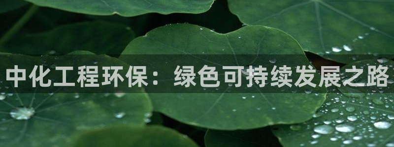亿万城市手游官网：中化工程环保：绿色可持续发展之路