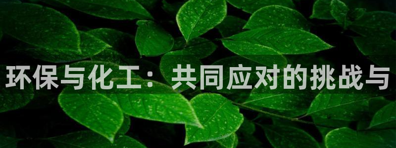 亿万先生网站：环保与化工：共同应对的挑战与