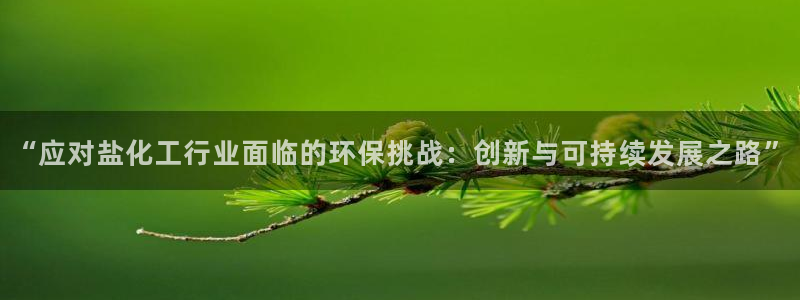 mr8001亿万先生在线存款：“应对盐化工行业面临的环保挑战：创新与可持续发展之路”