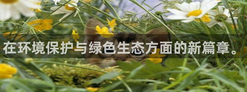 亿万先生官方网站客户端下载安装：在环境保护与绿色生态方面的新篇章。
