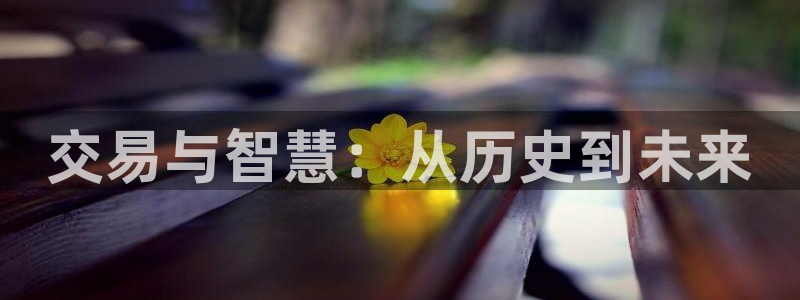 番薯小说官网入口：交易与智慧：从历史到未来