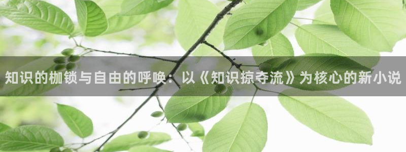 番薯小说网页版入口免费：知识的枷锁与自由的呼唤：以《知识掠夺流》为核心的新小说