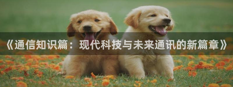 番薯小说免费版下载电脑：《通信知识篇：现代科技与未来通讯的新篇章》