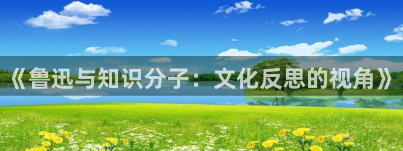 番薯小说免费网页版入口：《鲁迅与知识分子：文化反思的视角》